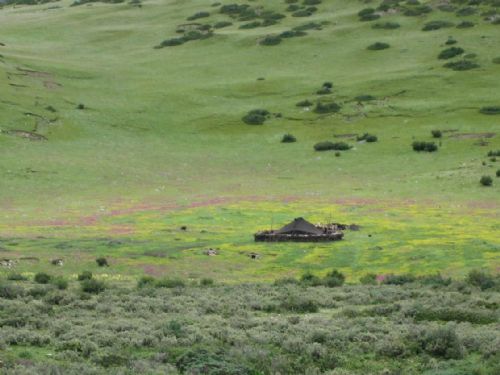高爾寺山旁草甸圖片
