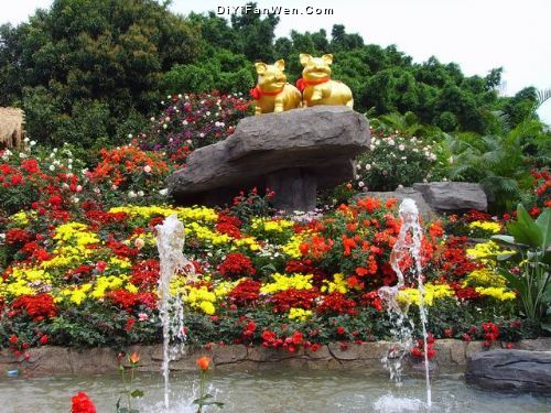 深圳人民公園花展圖片