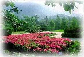 北京市植物園圖片