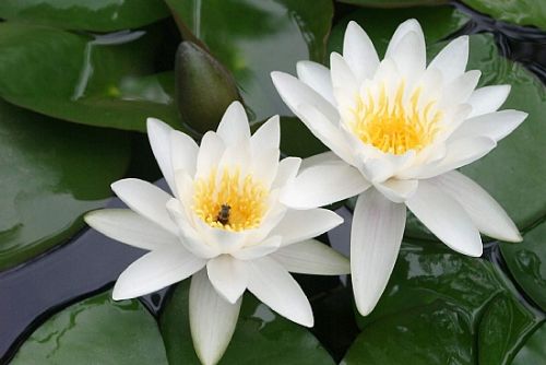 湘潭風光圖片