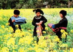 黔南布依族苗族自治州風光圖片