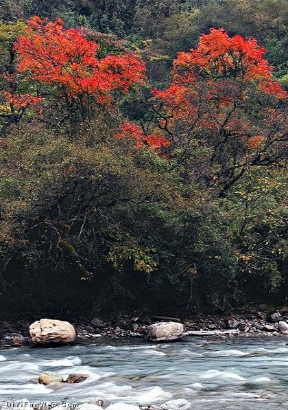 四川喇叭河圖片