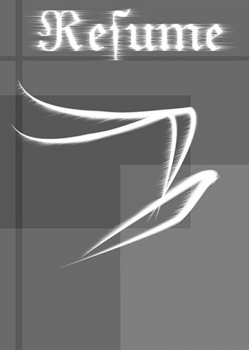 黑白簡歷封面：飛翔