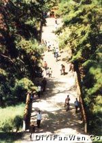 東陵公園圖片
