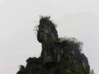 沐撫大峽谷鬼斧神工看奇石