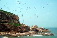海驢島圖片