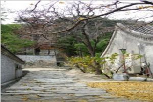 北京大覺寺組圖（1）圖片