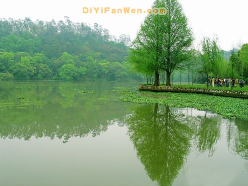 南寧良鳳江國家森林公園圖片