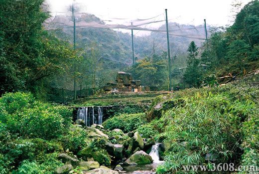 山東千佛山圖片