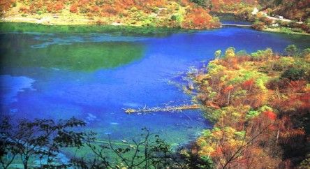 九寨溝五花海圖片