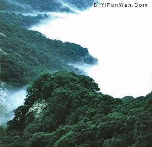 桐柏山淮源風景名勝區圖片