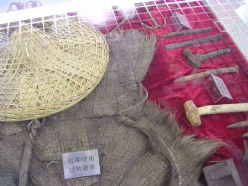 蒙頂山圖片
