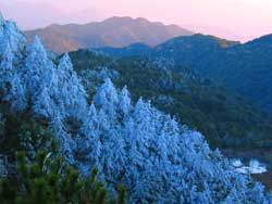 日照九仙山圖片