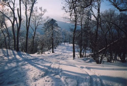 北大湖滑雪場圖片