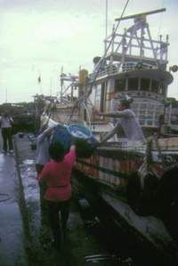 大溪漁港圖片