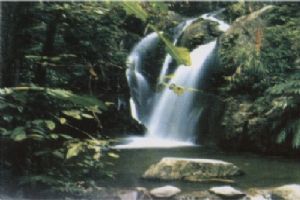 大旭山瀑布群圖片