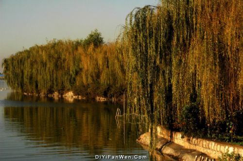 滇池秋色圖片