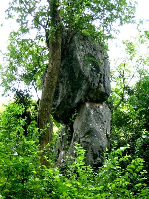 石蓮洞圖片