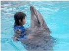 長沙動物園