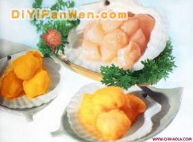 金袍鮮貝