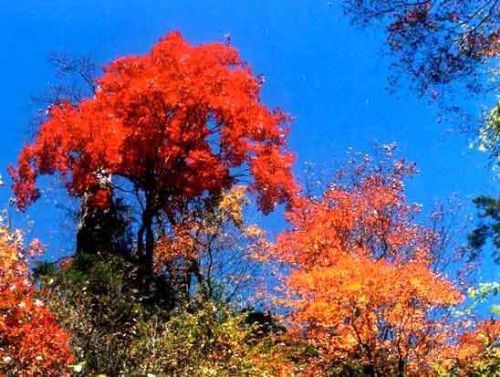 二郎山圖片
