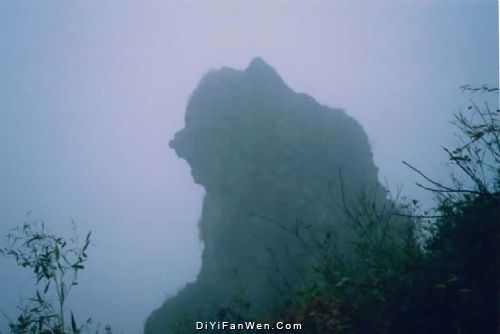 馬仁奇峰森林旅遊區圖片