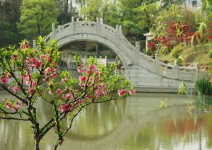 南園圖片