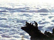 探海石雲海玉盤圖片