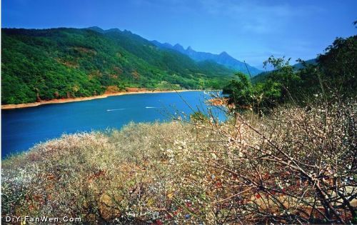 廣東流溪河國家森林公園圖片