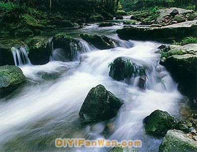 金鞭溪圖片