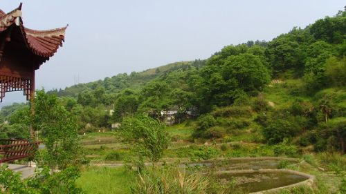 黃山猴谷圖片