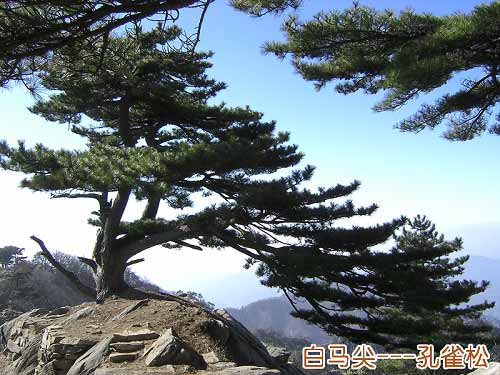 大別山主峰景區