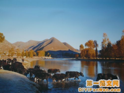雅安二圖片