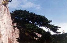 後石塢圖片