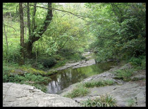 湖南八大公山圖片