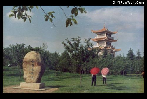 湖南西湖公園圖片
