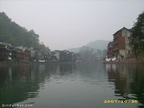 鳳凰風情圖片