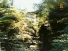 惠蓀農場