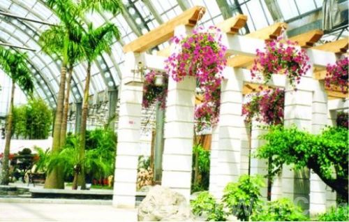 天津熱帶植物觀光園圖片