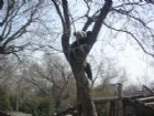 北京動物園組圖（3）