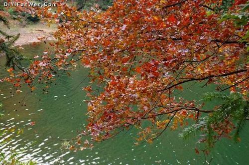 廣東從化石門紅葉美景圖片