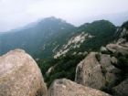 蒙山國家森林公園
