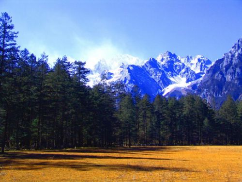雲南雲杉坪圖片