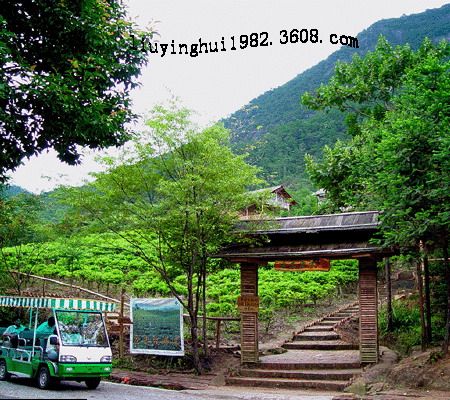 廣西姑婆山國家森林公園圖片