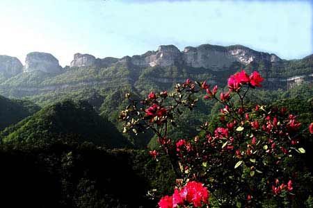 金佛山圖片