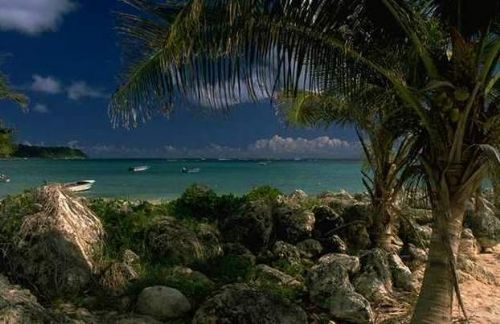 加勒比海風光圖片