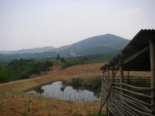 江寧橫溪橫山林場圖片