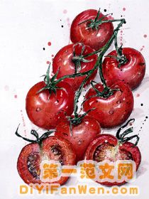 吃放心菜的6種方法