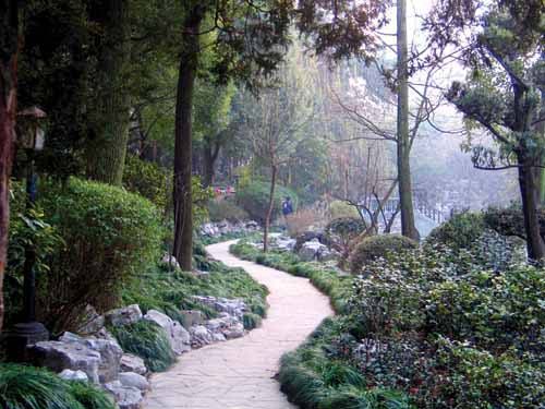 丁香花園圖片