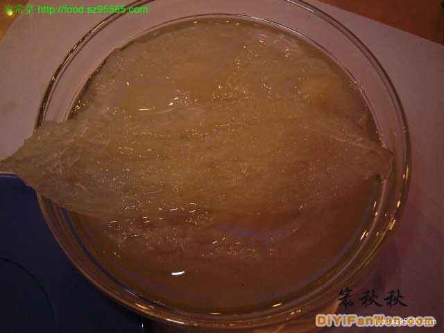 燕窩小白鼠